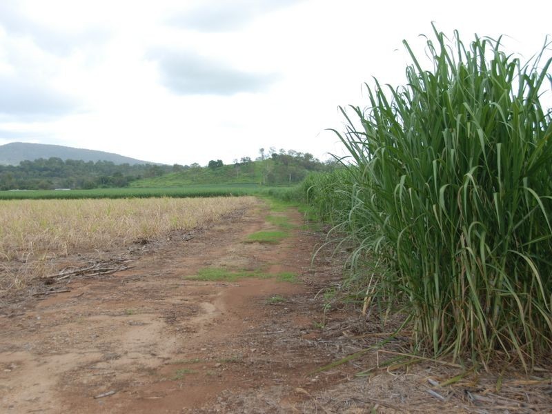 L 7 & L6 & Carmila Road, Carmila QLD 4739