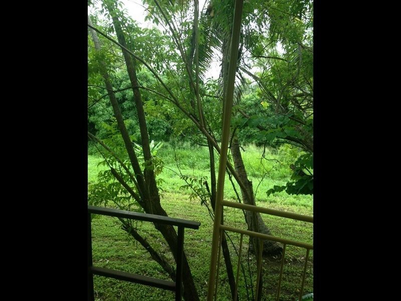 1051 Sarina Beach Rd, Sarina QLD 4737