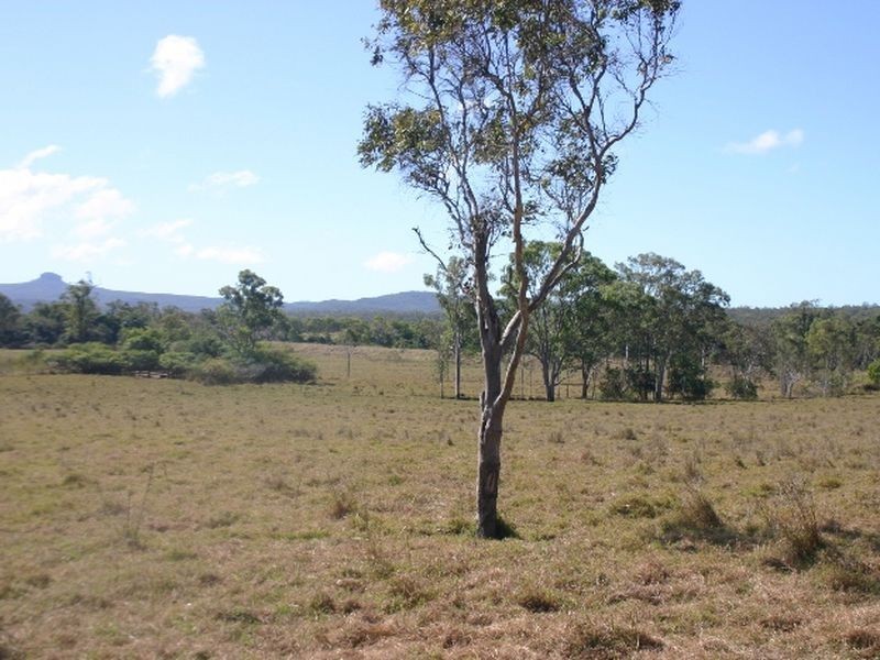 195 Marion Settlement Road, Ilbilbie QLD 4738