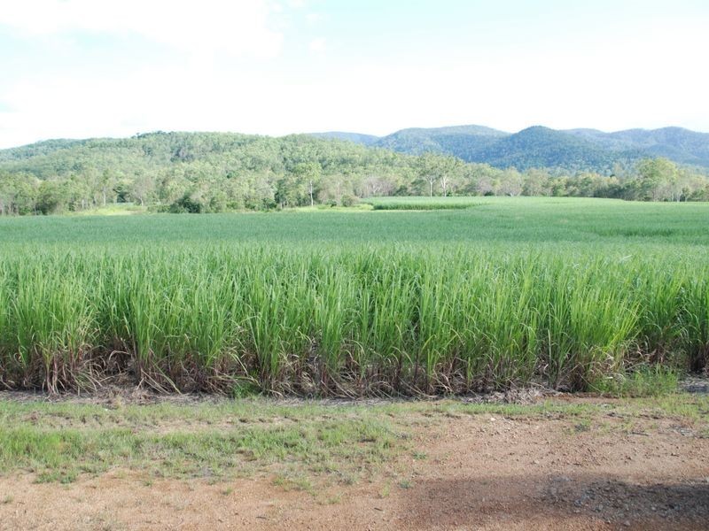 178/25 Jackson’s Crossing Road, Ilbilbie QLD 4738