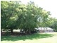 269 Loadsmans Road, Carmila QLD 4739