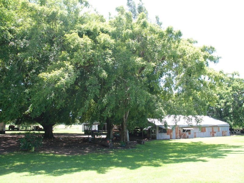 269 Loadsmans Road, Carmila QLD 4739