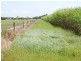 269 Loadsmans Road, Carmila QLD 4739