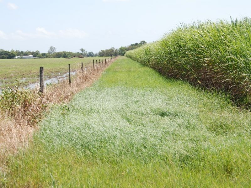 269 Loadsmans Road, Carmila QLD 4739