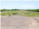 269 Loadsmans Road, Carmila QLD 4739