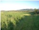 401 Campbells Road, Koumala QLD 4738