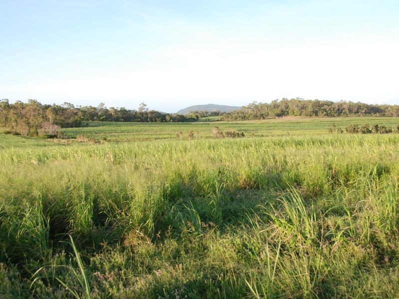 401 Campbells Road, Koumala QLD 4738