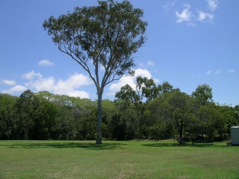 5 Ash Court, Hay Point QLD 4740