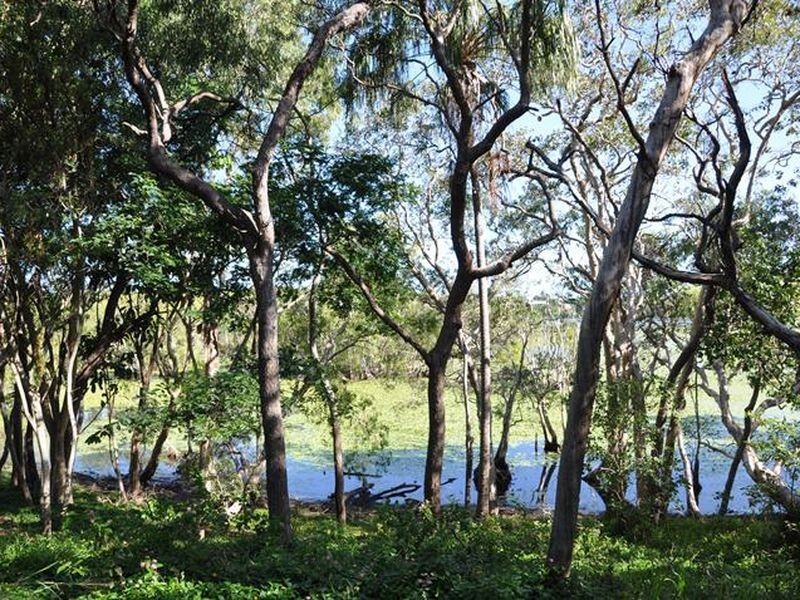 18 Tindaridge Court, Hay Point QLD 4740