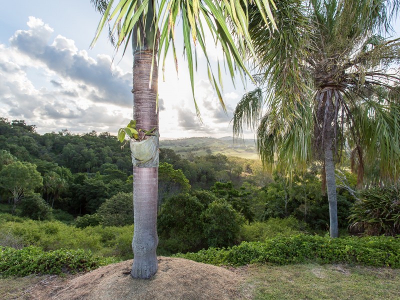 59 Wrights Road, Grasstree Beach QLD 4740