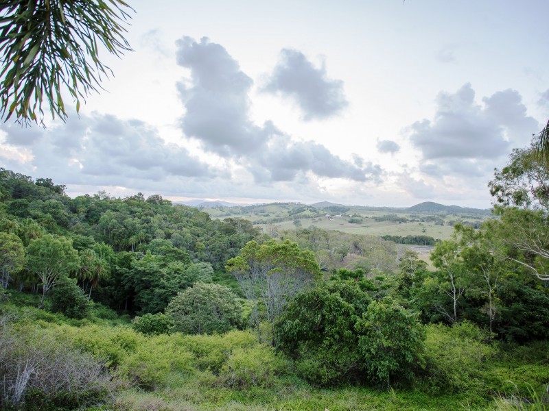 59 Wrights Road, Grasstree Beach QLD 4740