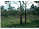 Lot 4 Schneiders Road, St Lawrence QLD 4707