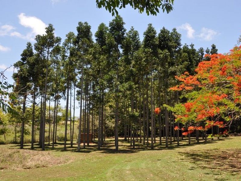 5 Lamberts Road, Sarina QLD 4737