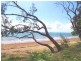 53 Westcott Avenue, Campwin Beach QLD 4737