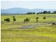 1-46 Trilla Hills Estate Bally Keel Road, Alligator Creek QLD 4740