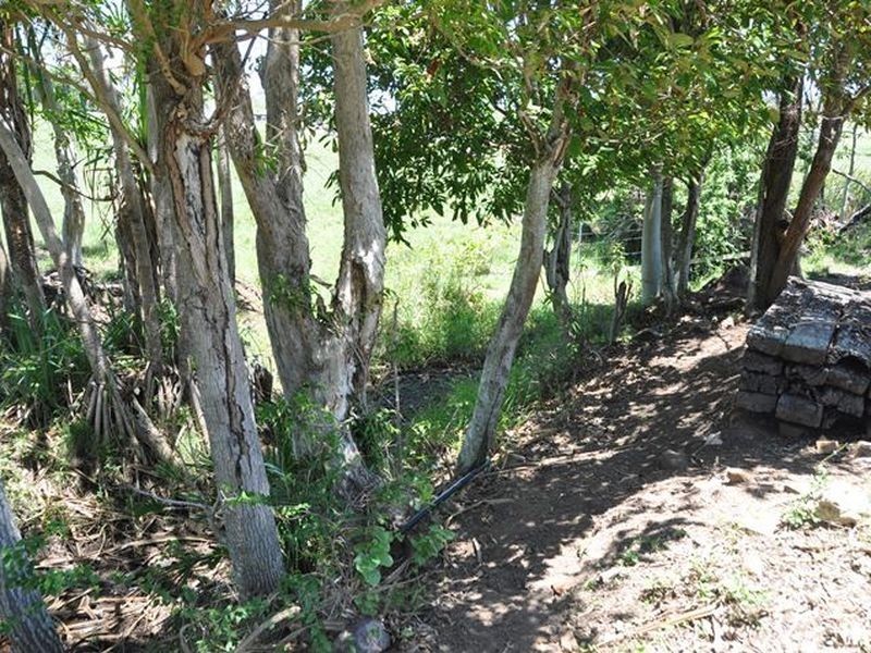 87 Fenech Avenue, Alligator Creek QLD 4740