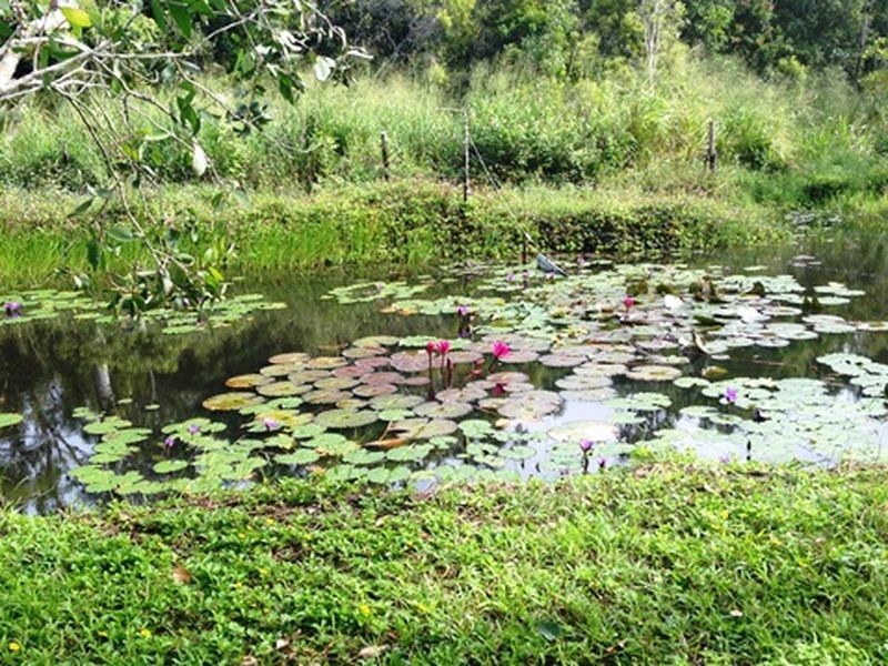 571 Miran Khan Drive, Freshwater Point QLD 4737