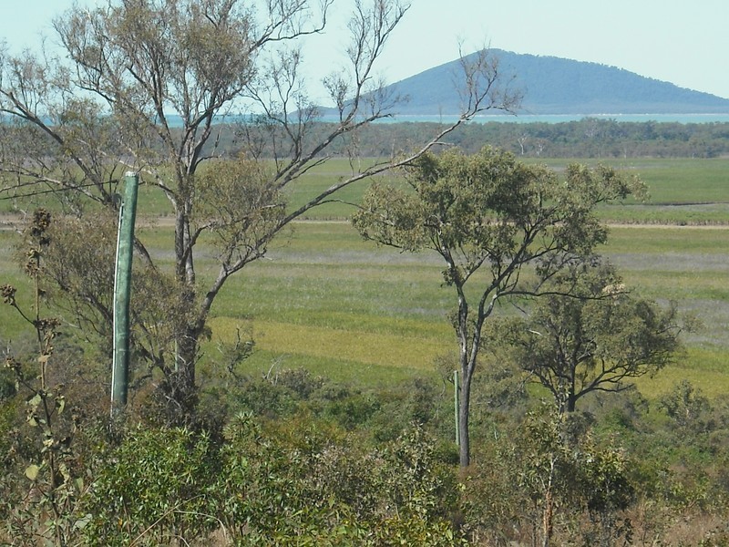Lot 4 Howlands Road, Ilbilbie QLD 4738