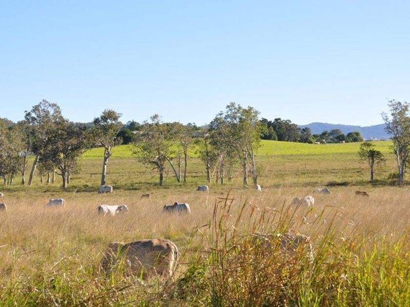 91353 Bruce Highway, Sarina QLD 4737