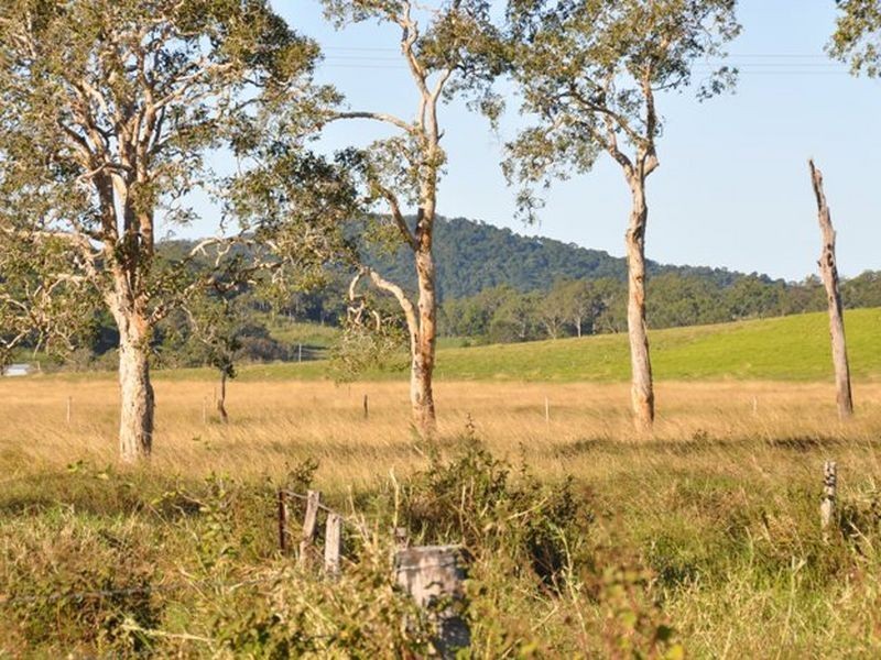 91353 Bruce Highway, Sarina QLD 4737