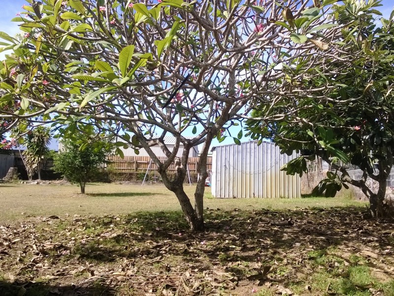 49 Pacific Drive, Hay Point QLD 4740