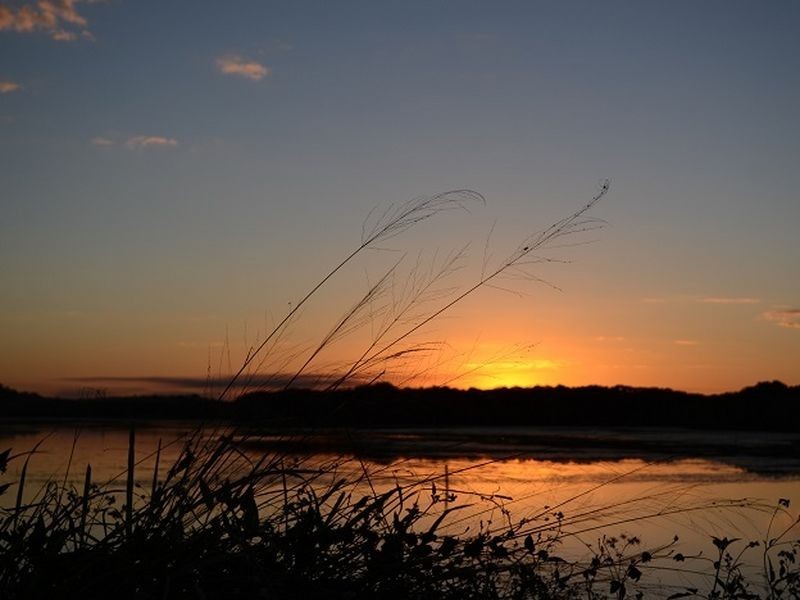 40 Rasmussen Avenue, Salonika Beach QLD 4740