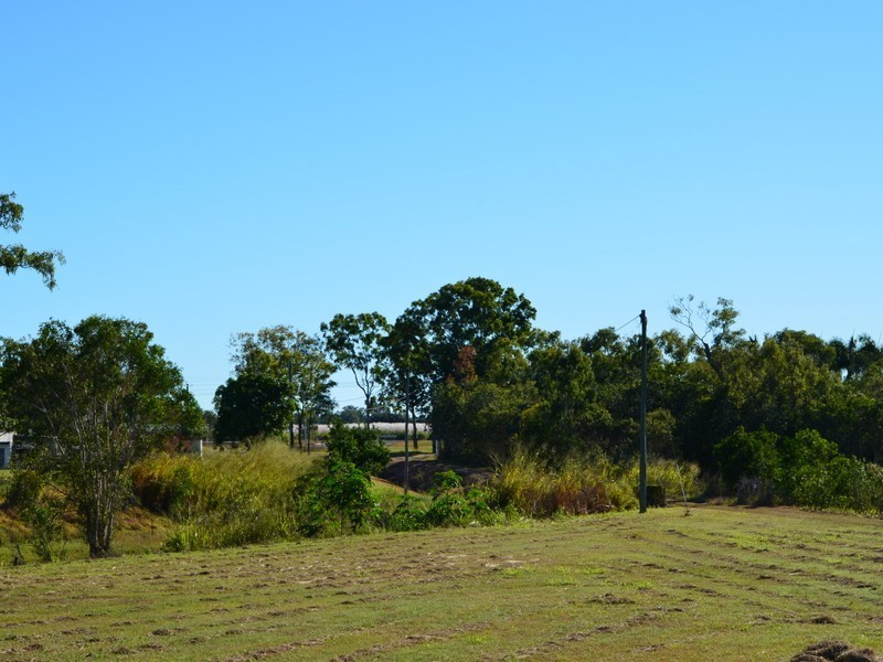 11 Baronga Drive, Alligator Creek QLD 4740