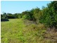 11 Baronga Drive, Alligator Creek QLD 4740