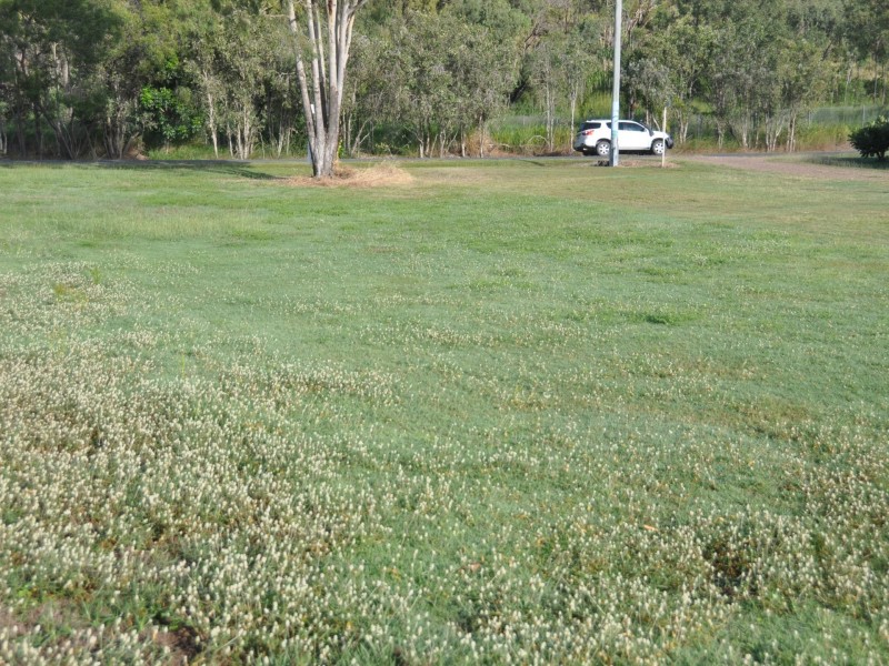 4 Flinders Lane, Clairview QLD 4741