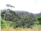 1605 Carmila West Road, Carmila QLD 4739