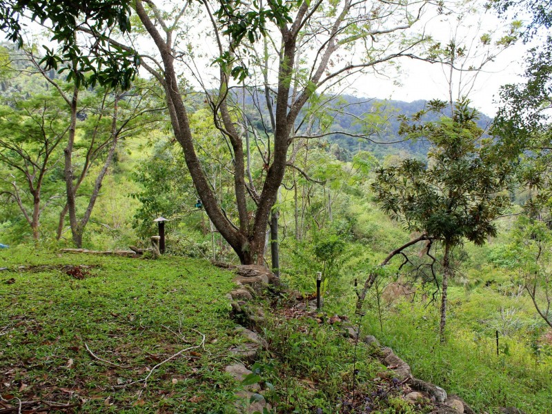 1605 Carmila West Road, Carmila QLD 4739