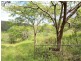 1605 Carmila West Road, Carmila QLD 4739