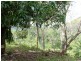 1605 Carmila West Road, Carmila QLD 4739