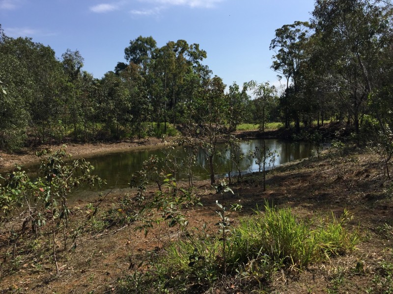 266 Mountney Road, Sarina QLD 4737