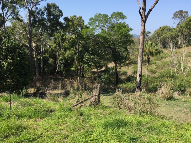 266 Mountney Road, Sarina QLD 4737
