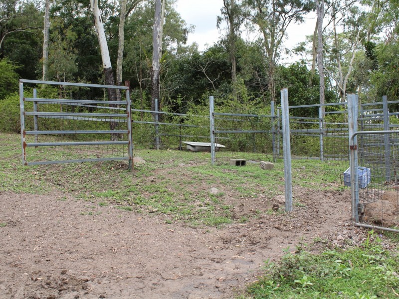266 Mountney Road, Sarina QLD 4737
