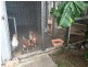41 Windsor Drive, Hay Point QLD 4740