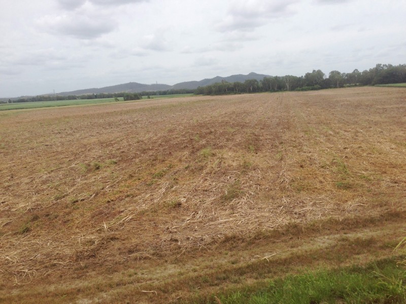 94 Oakenden Sarina Road, Homebush QLD 4740