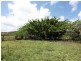 1159 Carmila West Rd, Carmila QLD 4739