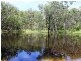 321 Ilbilbie Rd, Koumala QLD 4738