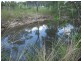 87401 Bruce Highway, Ilbilbie QLD 4738