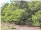 Lot Parcel 3/213 Settlement Rd, St Lawrence QLD 4707