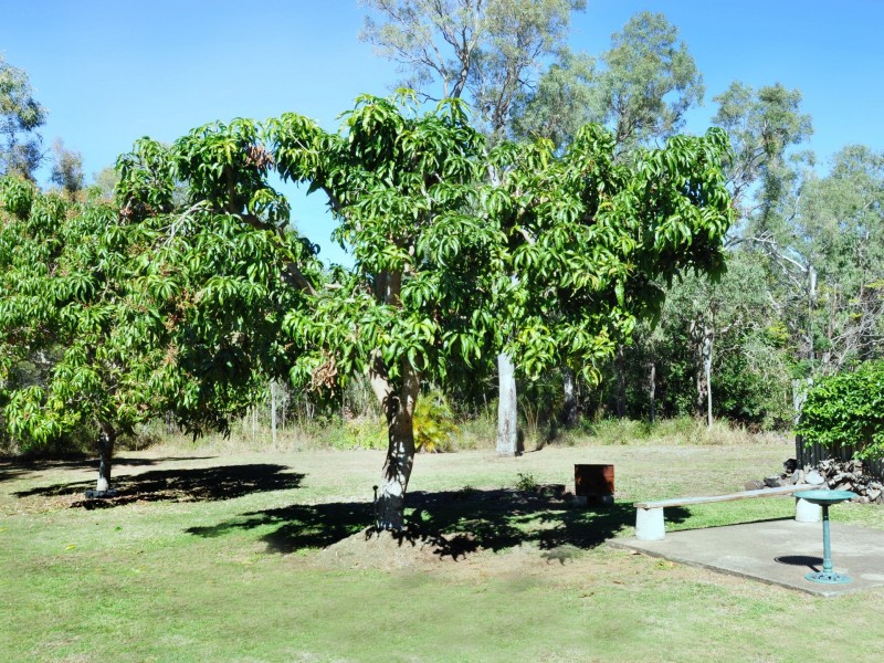 438 Grasstree Beach Rd, Grasstree Beach QLD 4740