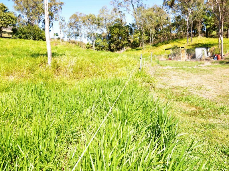 163 Fenech Avenue, Alligator Creek QLD 4740