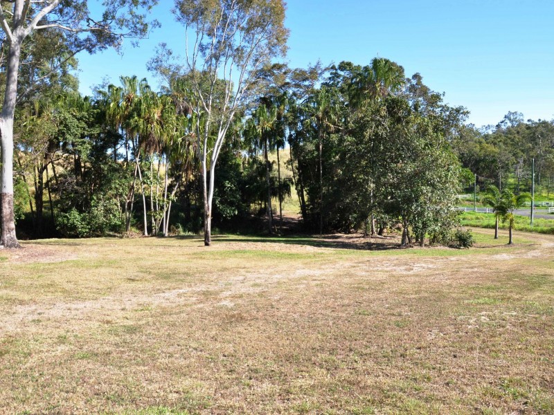 163 Fenech Avenue, Alligator Creek QLD 4740