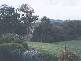 2 Dean Road, Nannup WA 6275