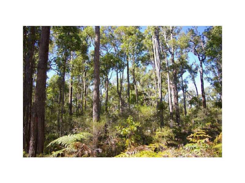 Lot 52 Leschenaultia Drive, Nannup WA 6275
