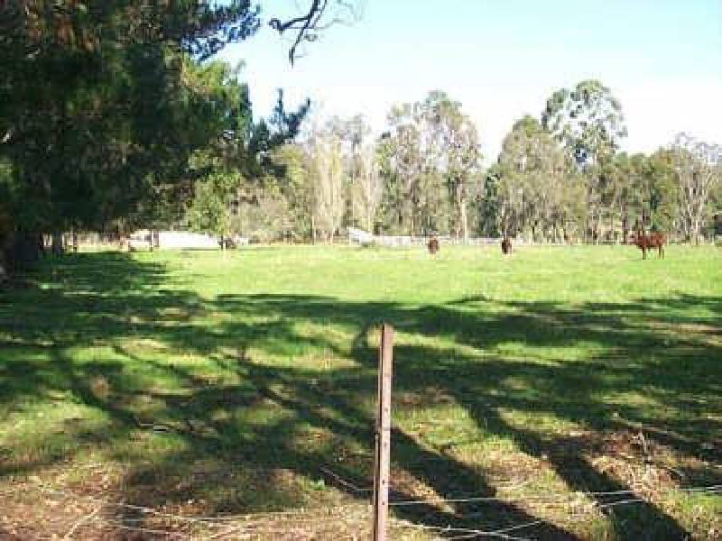 Lot 97 East Nannup Road, Nannup WA 6275