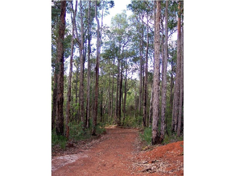 Lot 101 Chalwell Rd, Nannup WA 6275