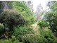 Loc 264 Brockman Highway, Nannup WA 6275